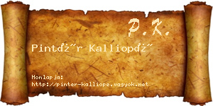Pintér Kalliopé névjegykártya